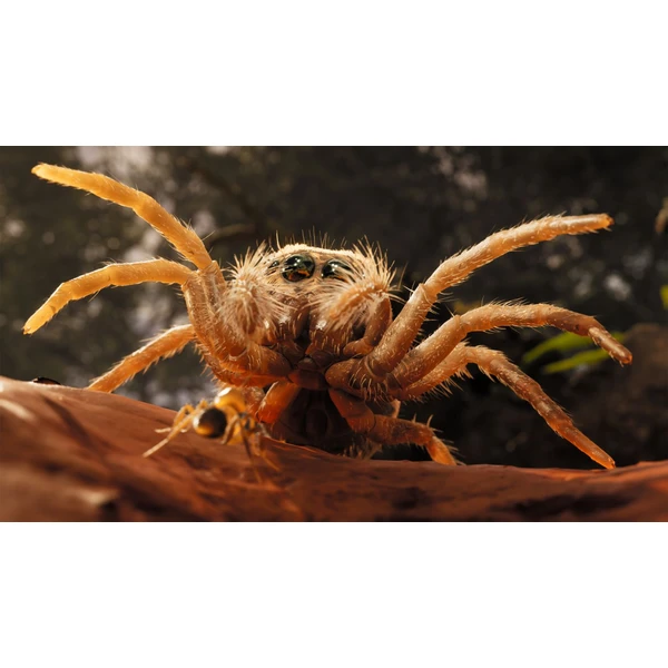 Empire of the Ants Limited Editiion (PS5) - Hry pro PS5 - Obrázek O2BA000J01