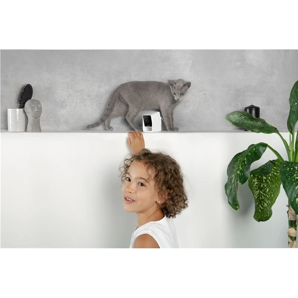 PetCube Cam bezpečnostní kamera - Kamery - Obrázek O5T5000J01