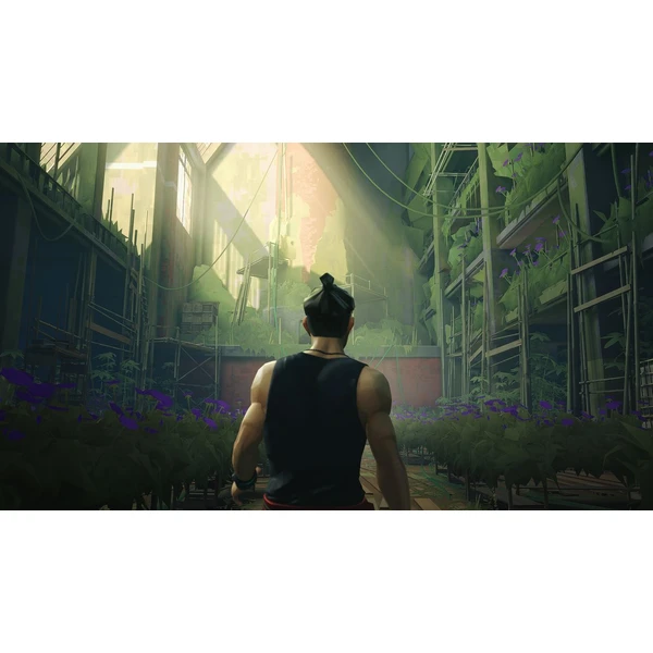 Sifu (PS4) - Hry pro PS4 - Obrázek O927100501