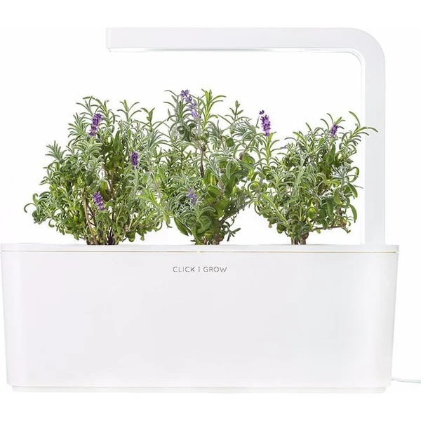 Click and Grow levandule kapsle se semínky a substrátem 3ks - Sazenice - Obrázek OLVR000401