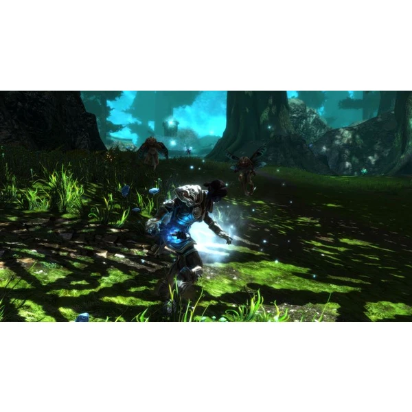 Kingdoms of Amalur Re-Reckoning (Xbox One) - Hry pro Xbox One - Obrázek OXN3100201