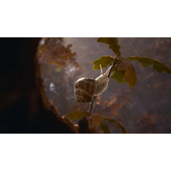 Empire of the Ants Limited Editiion (PS5) - Hry pro PS5 - Obrázek P2BA000J01