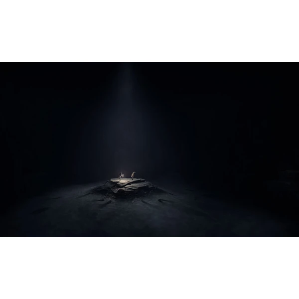 Reanimal (PS5) - Hry pro PS5 - Obrázek PAHG000K01