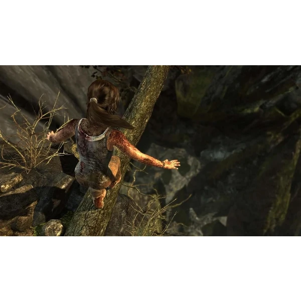 Tomb Raider: Definitive Edition (PS4) - Hry pro PS4 - Obrázek PD6T100501