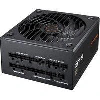 COUGAR GLE 1000W - Zdroje