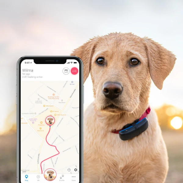 Tractive GPS Tracker pro psy - GPS moduly - Obrázek PMD4000301