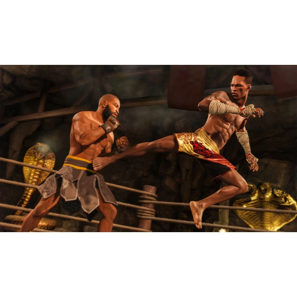 EA UFC 4 (Xbox One) - Hry pro Xbox One - Obrázek PON3100201