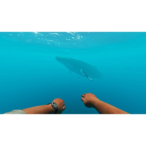 Stranded Deep (Switch) - Hry pro Nintendo Switch - Obrázek PQGW600301