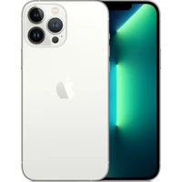 Apple iPhone 13 Pro Max 256GB stříbrný - Mobilní telefony