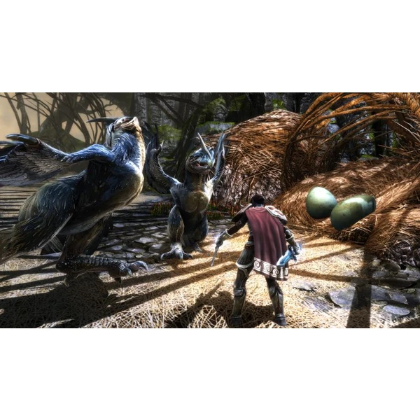 Kingdoms of Amalur Re-Reckoning (Xbox One) - Hry pro Xbox One - Obrázek PXN3100201