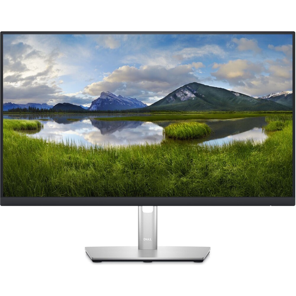 Dell Professional P2423DE monitor 23.8