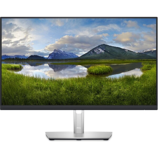 Dell P2423DE Stříbrná