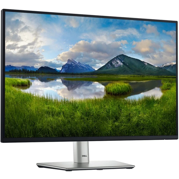 Dell P2425 monitor 24" - Monitory - Obrázek Q4N3000J01