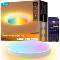 Govee RGBICWW Smart kulaté stropní světlo 4300lm 38cm Matter - Chytrá osvětlení