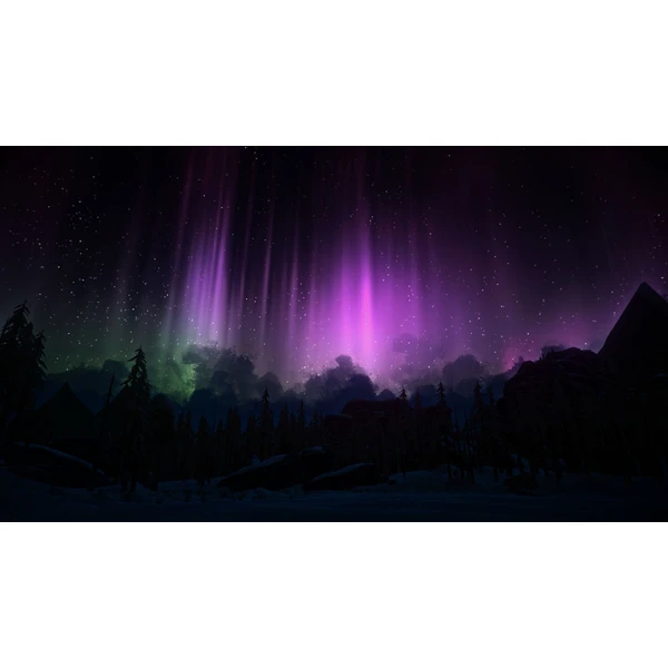 The Long Dark (PS4) - Hry pro PS4 - Obrázek QO95100201
