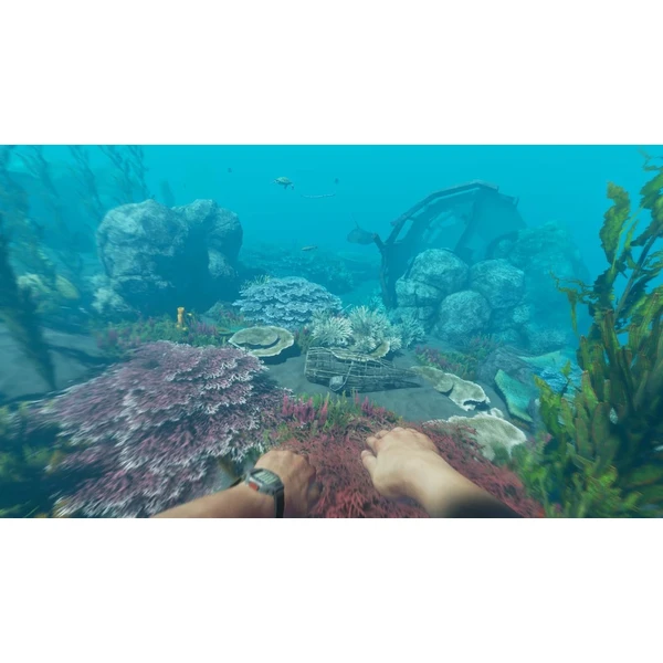 Stranded Deep (Switch) - Hry pro Nintendo Switch - Obrázek QQGW600301