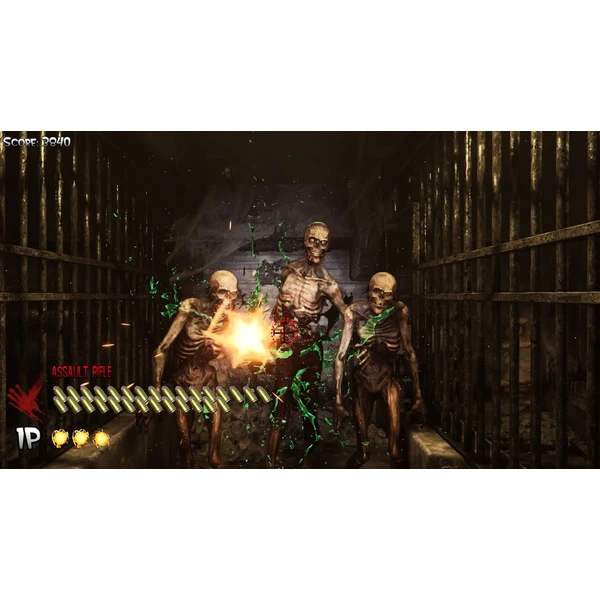 The House of the Dead: Remake (PS4) - Hry pro PS4 - Obrázek QZFG300401