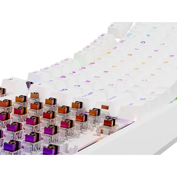 Genesis THOR 230 TKL RGB mechanická klávesnice bílá Outemu Brown - Klávesnice - Obrázek R2I5000O01