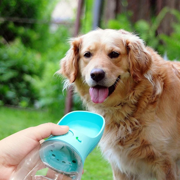 Reedog Aqua Travel cestovní láhev pro psy 550 ml - Chytré láhve - Obrázek R5QT000501