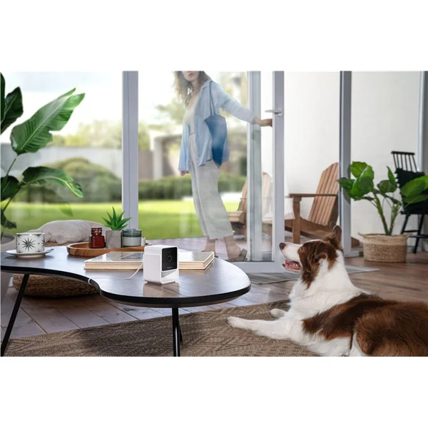 PetCube Cam bezpečnostní kamera - Kamery - Obrázek R5T5000J01
