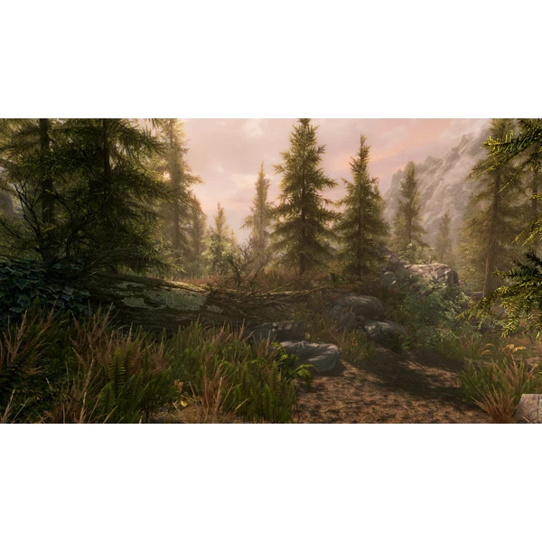 The Elder Scrolls V: Skyrim (Xbox One) - Hry pro Xbox One - Obrázek RH44100201