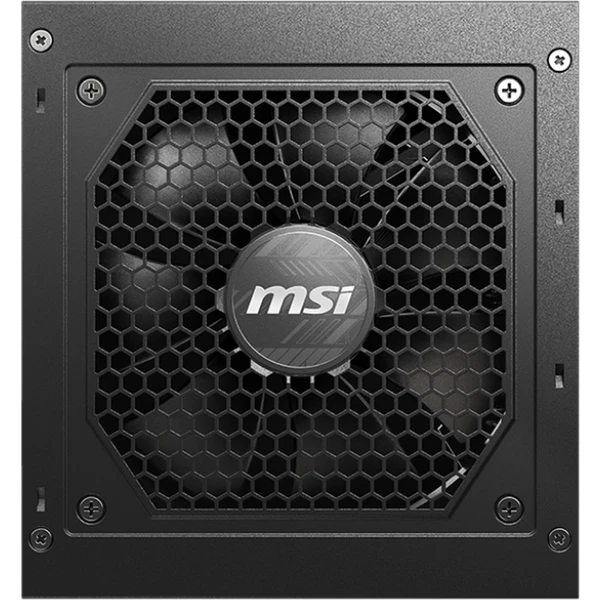 MSI MAG A750GL 750W - Zdroje - Obrázek RIF0000N01