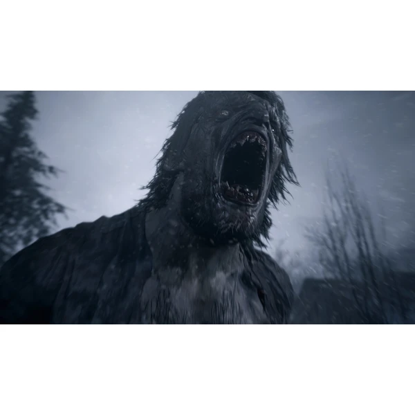 Resident Evil 8 Village (PS5) - Hry pro PS5 - Obrázek RMA3100201