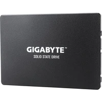 GIGABYTE SSD 256GB - SSD disky