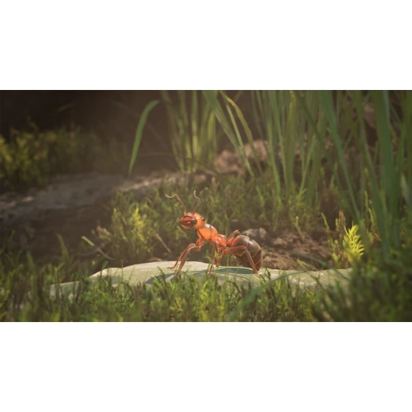 Empire of the Ants Limited Editiion (PS5) - Hry pro PS5 - Obrázek S2BA000J01