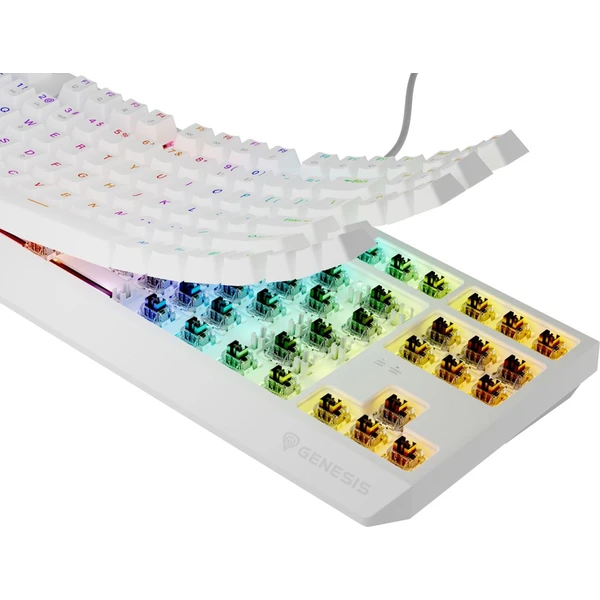 Genesis THOR 230 TKL RGB mechanická klávesnice bílá Outemu Brown - Klávesnice - Obrázek S2I5000O01