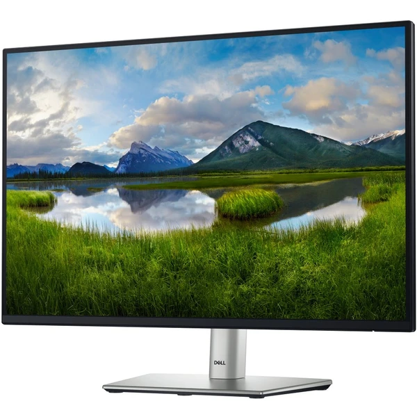 Dell P2425 monitor 24" - Monitory - Obrázek S4N3000J01