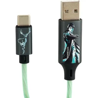 Lazerbuilt Harry Potter - Patronus USB-A/USB-C svítící napájecí kabel 10W 1,2m zelený - Kabely a redukce
