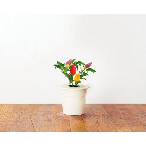 Click and Grow chilli papričky kapsle se semínky a substrátem 3ks - Sazenice - Obrázek SLSR000401