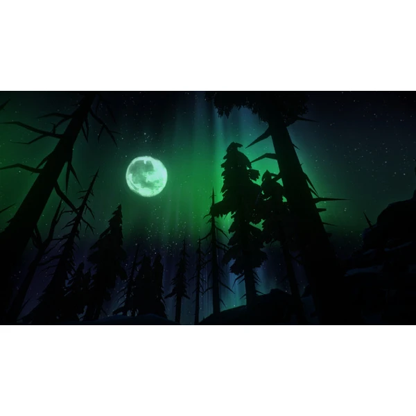 The Long Dark (PS4) - Hry pro PS4 - Obrázek SO95100201