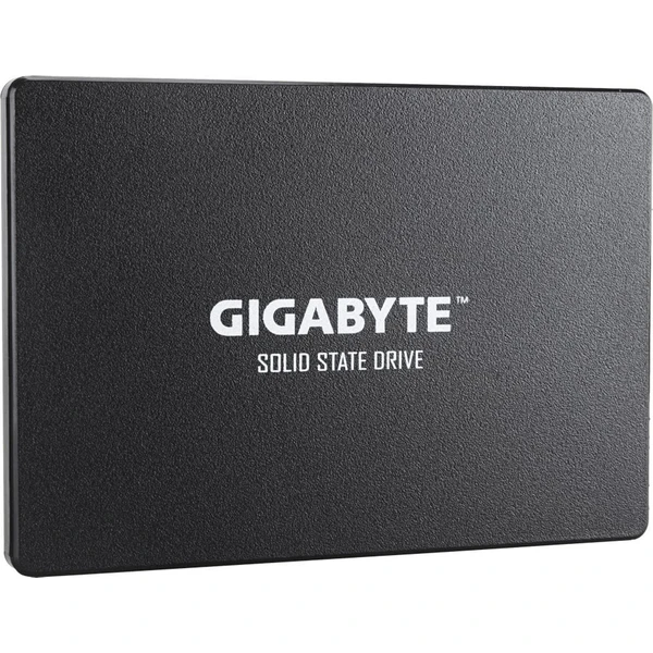 GIGABYTE SSD 256GB - SSD disky - Obrázek SWX6000N01