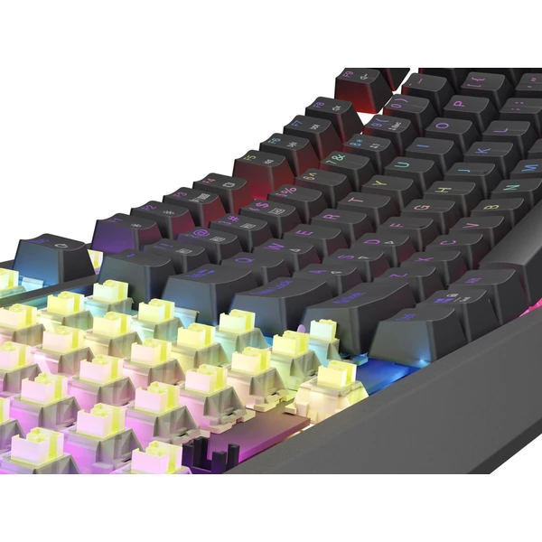 Genesis THOR 230 TKL RGB bezdrátová mechanická klávesnice černá Outemu Silent Lemon - Klávesnice - Obrázek T4I5000O01