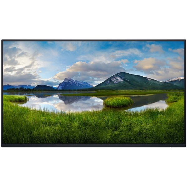 Dell P2425H monitor 24" bez stojanu 210-BMTB Stříbrná