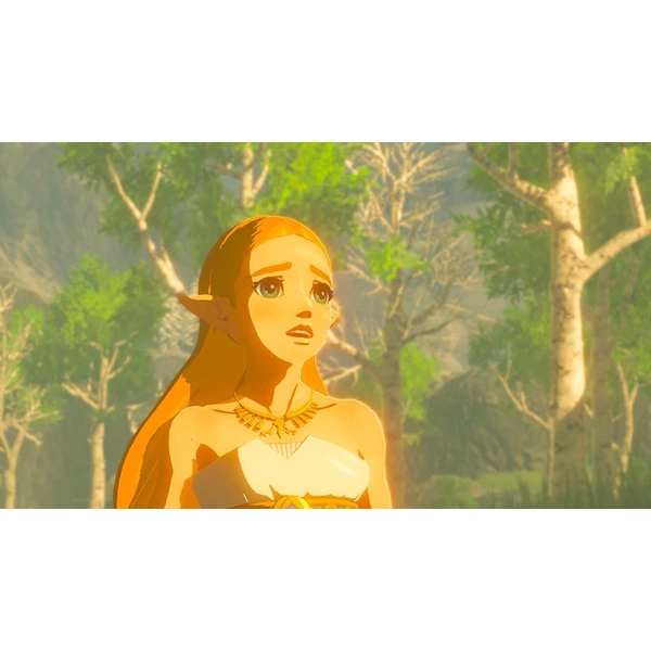 The Legend of Zelda: Breath of the Wild (SWITCH) - Hry pro Nintendo Switch - Obrázek TPGO600301