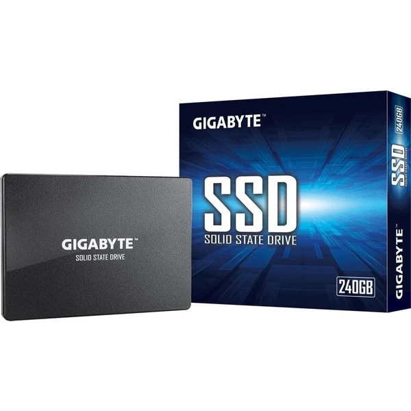 GIGABYTE SSD 256GB - SSD disky - Obrázek TWX6000N01