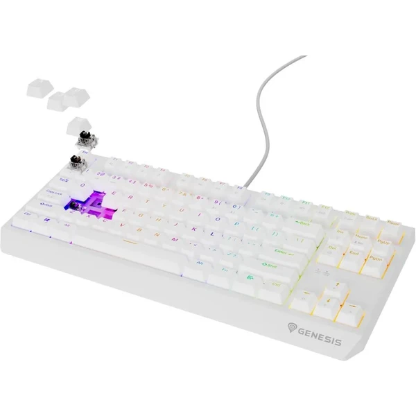 Genesis THOR 230 TKL RGB mechanická klávesnice bílá Outemu Brown - Klávesnice - Obrázek U2I5000O01