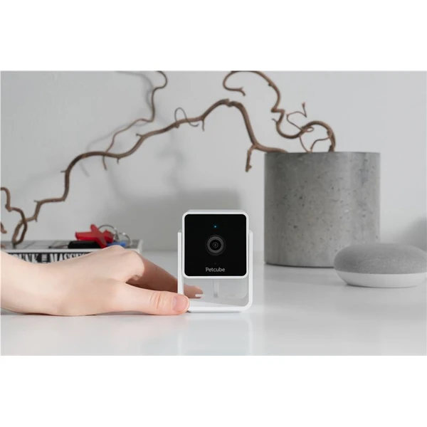 PetCube Cam bezpečnostní kamera - Kamery - Obrázek U5T5000J01