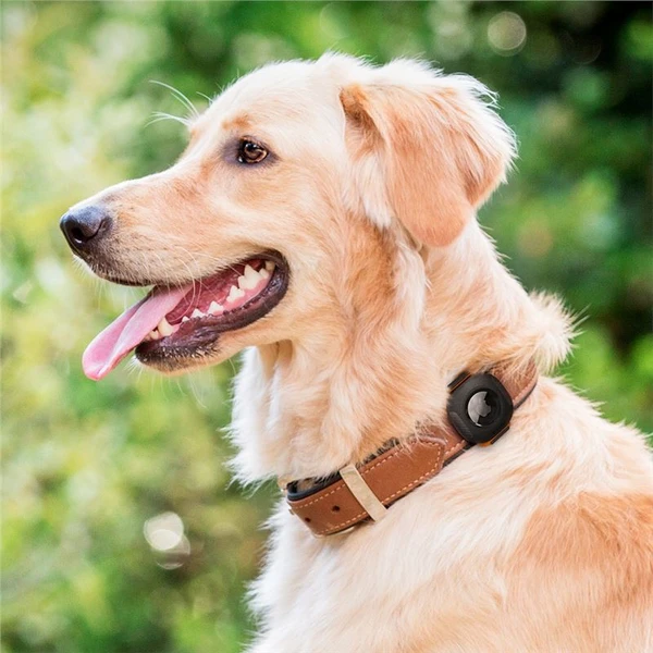 Spigen Pet Collar kryt na obojek pro Apple AirTag černý - Pouzdra - Obrázek U6L2000701