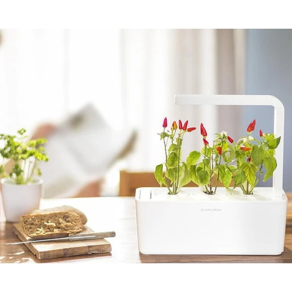 Click and Grow chilli papričky kapsle se semínky a substrátem 3ks - Sazenice - Obrázek ULSR000401
