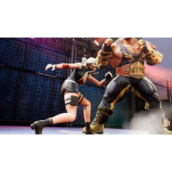Double Dragon Revive Limited Edition (Switch) - Hry pro Nintendo Switch - Obrázek USNE000K01