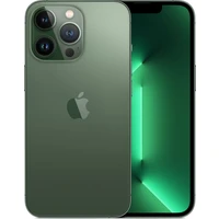 Apple iPhone 13 Pro 512GB alpsky zelený - Mobilní telefony