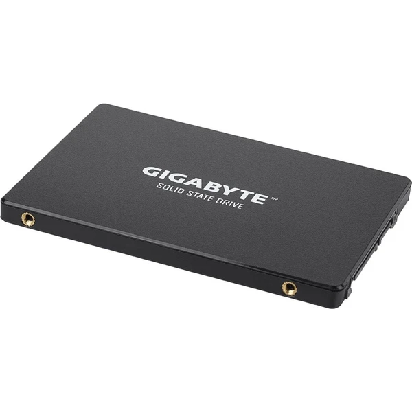 GIGABYTE SSD 256GB - SSD disky - Obrázek UWX6000N01