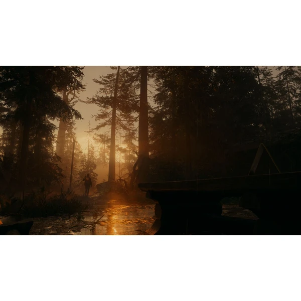 Alan Wake 2 (PS5) - Hry pro PS5 - Obrázek V236000P01