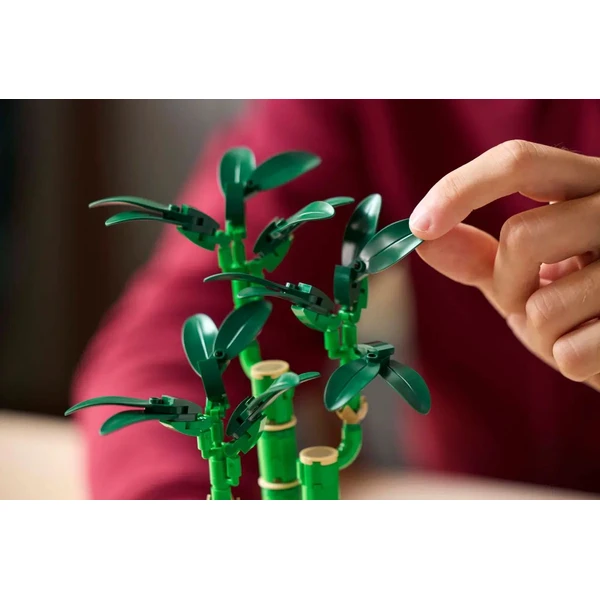 LEGO Botanicals 10344 Bambus štěstí - LEGO - Obrázek V37G000N01