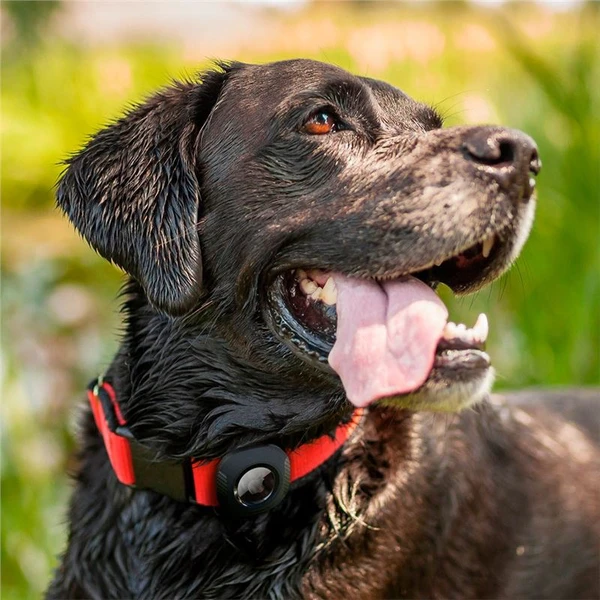 Spigen Pet Collar kryt na obojek pro Apple AirTag černý - Pouzdra - Obrázek V6L2000701