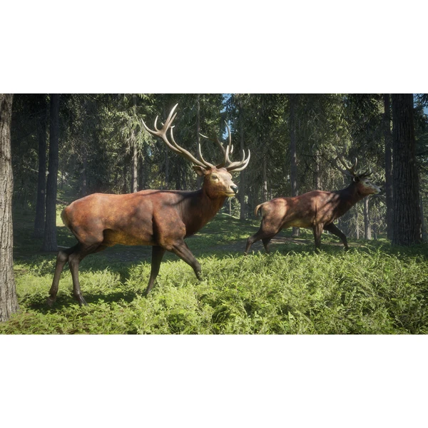 theHunter: Call of the Wild (Xbox One) - Hry pro Xbox One - Obrázek VJX3100201
